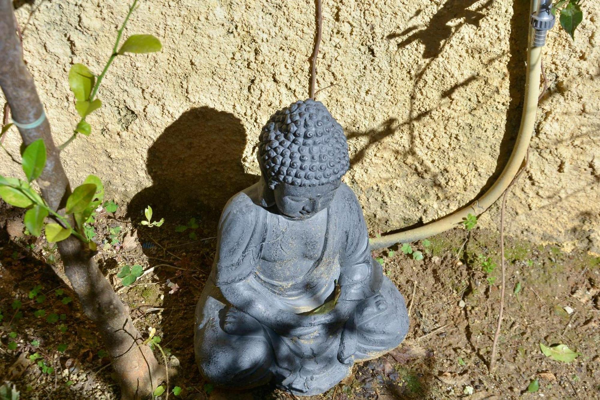 Τhe Hidden Garden Διαμέρισμα Corfu  Εξωτερικό φωτογραφία