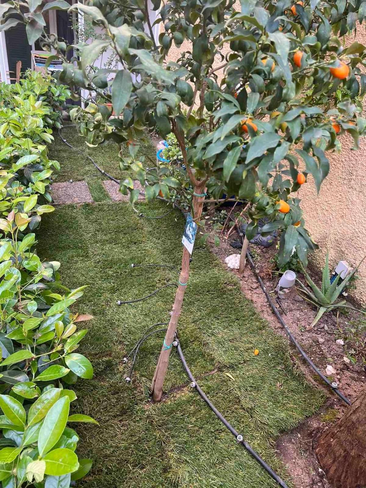 Τhe Hidden Garden Διαμέρισμα Corfu  Εξωτερικό φωτογραφία