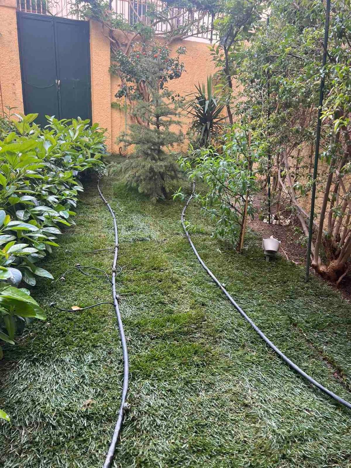 Τhe Hidden Garden Διαμέρισμα Corfu  Εξωτερικό φωτογραφία
