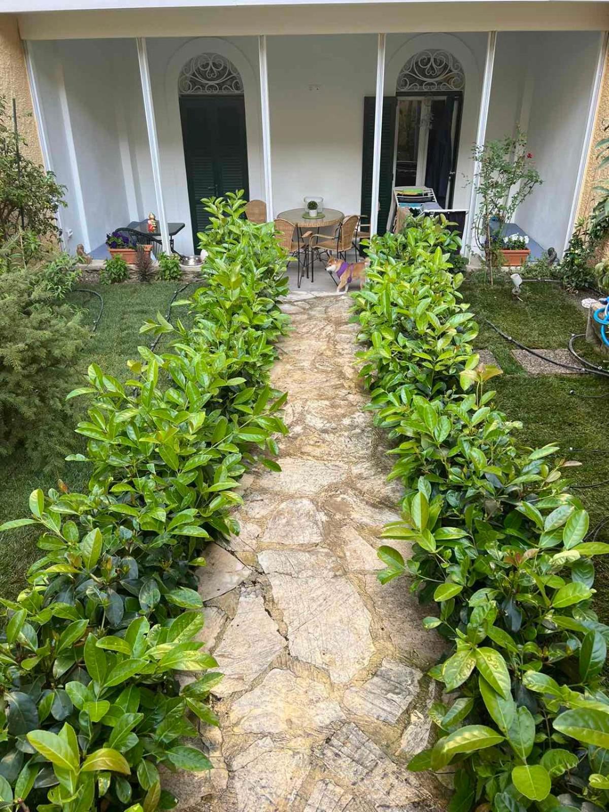 Τhe Hidden Garden Διαμέρισμα Corfu  Εξωτερικό φωτογραφία